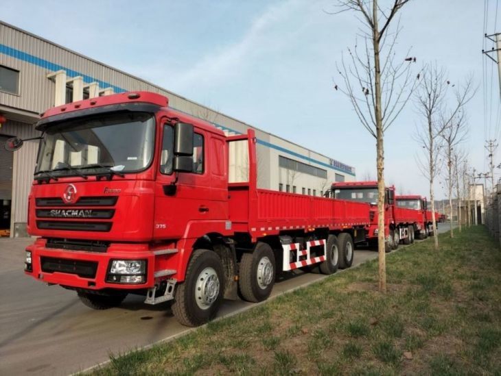 ईंधन टैंक 400L ट्रक ट्रक SHACMAN F3000 8x4 ट्रक 375Hp नीयन लाल